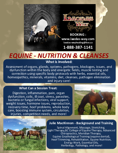 EQUINE Nutrition & Cleanses