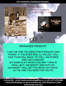 Channelled Message KIT