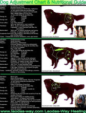 Load image into Gallery viewer, CANINE / FELINE CHART
